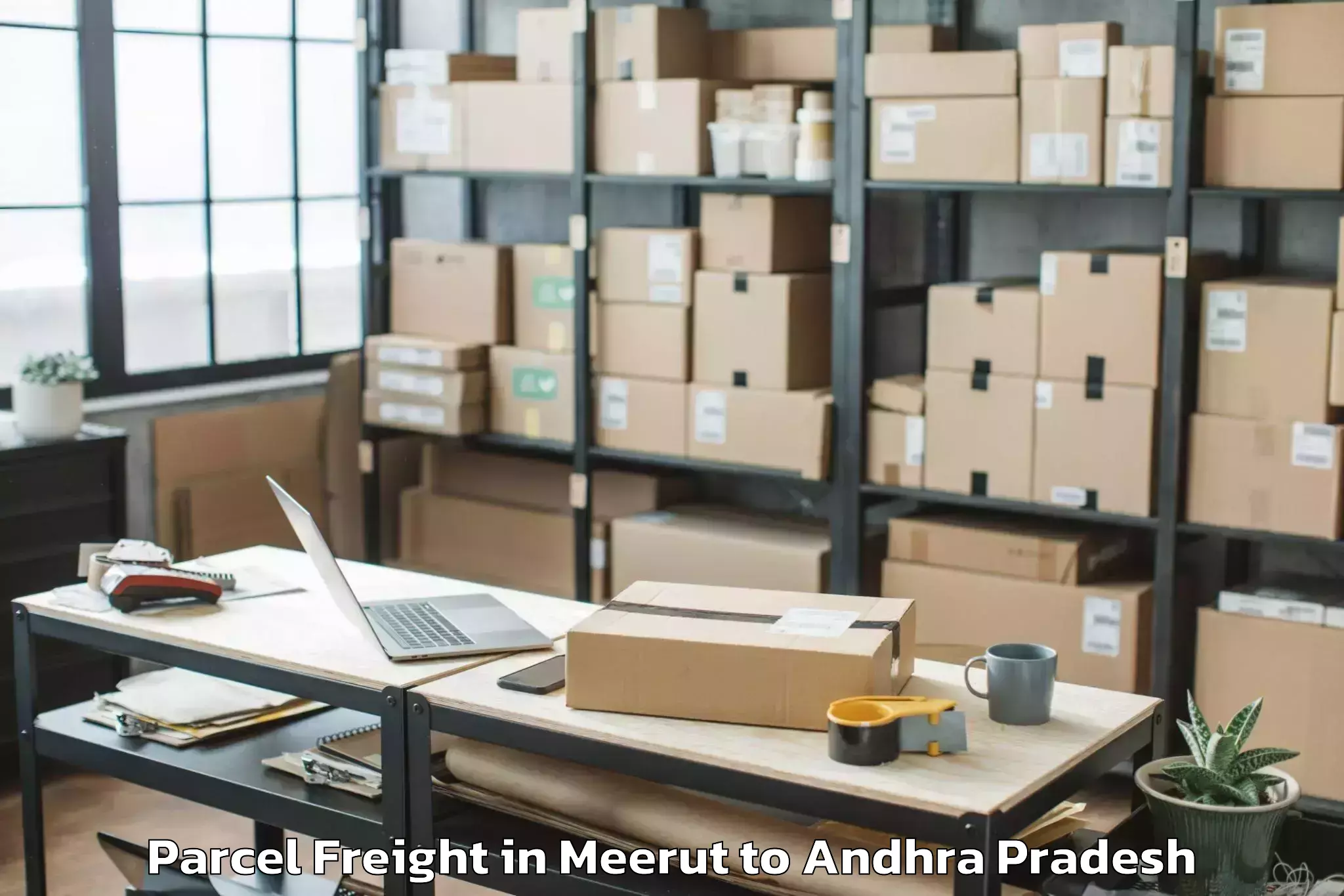 Trusted Meerut to Krishnapatnam Port Parcel Freight